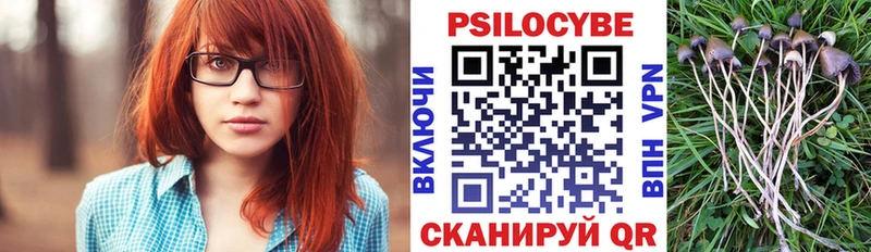 Псилоцибиновые грибы Psilocybine cubensis shop клад Рошаль